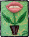 Tulips, 43 Pieces of Gum
